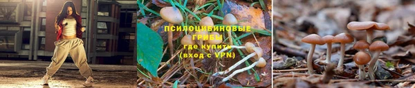 кокаин Снежногорск