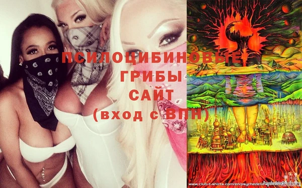 сатива Магадан