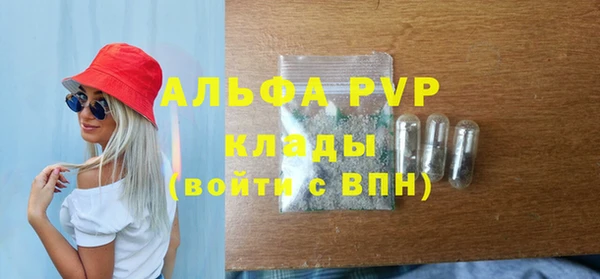 спайс Магас