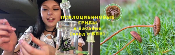 сатива Магадан