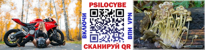 сайты даркнета официальный сайт  Сосновка  Псилоцибиновые грибы Psilocybine cubensis  ОМГ ОМГ ссылки 